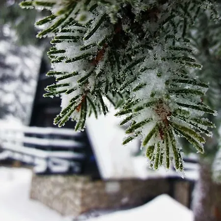 Retro Vikendica Jaktstuga